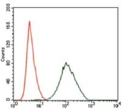 Flow Cytometry: PLK1 Antibody (3C11) - BSA Free [NBP2-22196]