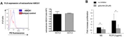 Western Blot: PLTP Antibody [NB400-106]