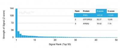 Protein Array: PMEL17/SILV Antibody (PMEL/2037) - Azide and BSA Free [NBP3-08518]