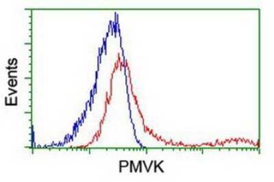 Flow Cytometry: PMVK/phosphomevalonate kinase Antibody (OTI2F9) - Azide and BSA Free [NBP2-73484]