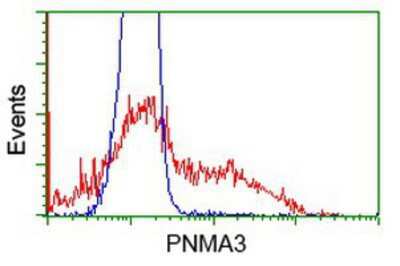 Flow Cytometry: PNMA3 Antibody (OTI1C3) [NBP2-03547]