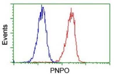 Flow Cytometry: PNPO Antibody (OTI1G9) [NBP2-45361]
