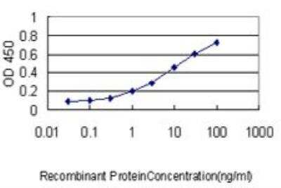 ELISA: POLA2 Antibody (2F11) [H00023649-M01]