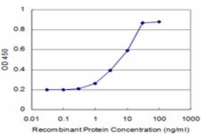 ELISA: POLD4 Antibody (2C11) [H00057804-M10]