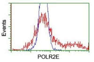 Flow Cytometry: POLR2E Antibody (OTI3B5) - Azide and BSA Free [NBP2-73518]