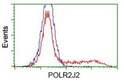 Flow Cytometry: POLR2J2 Antibody (OTI3G4) [NBP2-03649]
