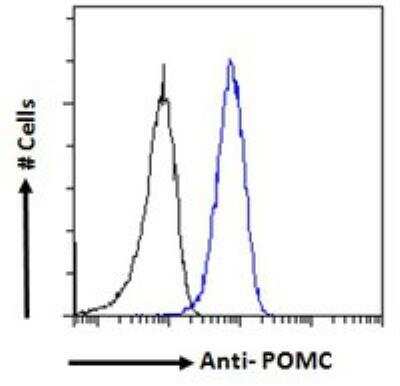 Flow Cytometry: POMC Antibody [NB100-1533]