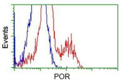 Flow Cytometry: POR/Cytochrome P450 Reductase Antibody (OTI3F10) [NBP1-47914]