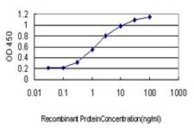 ELISA: POU4F3 Antibody (5B8) [H00005459-M01]
