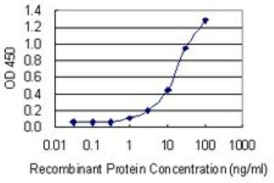 ELISA: PP2C beta/PPM1B Antibody (1A3-2A4) [H00005495-M01]