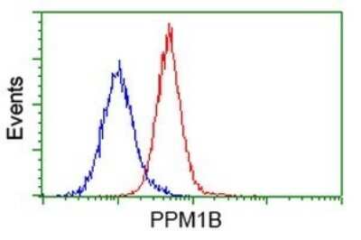 Flow Cytometry: PP2C beta/PPM1B Antibody (OTI3C9) [NBP2-45383]
