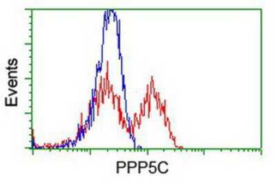 Flow Cytometry: PP5 Antibody (OTI2E12) [NBP1-47927]