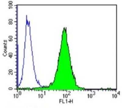 Flow Cytometry: PPAR alpha/NR1C1 Antibody (3B6/PPAR) - BSA Free [NB300-537]