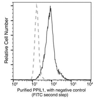 Flow Cytometry: PPIL1 Antibody (08) [NBP3-06214]