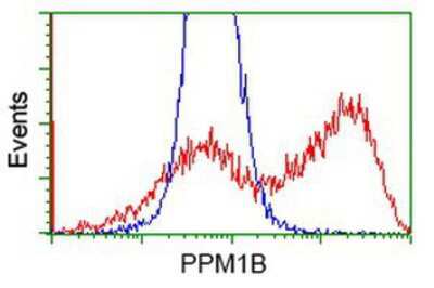 Flow Cytometry: PP2C beta/PPM1B Antibody (OTI3F2) [NBP2-00720]