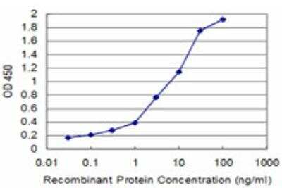 ELISA: PPOX Antibody (2B5) [H00005498-M04]