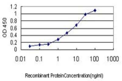 ELISA: PPOX Antibody (2F10) [H00005498-M01]