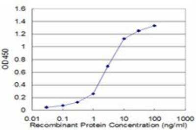 ELISA: PPP2R2C Antibody (6D1) [H00005522-M01]