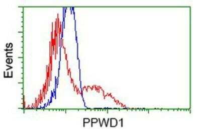 Flow Cytometry: PPWD1 Antibody (OTI1B8) [NBP2-03224]
