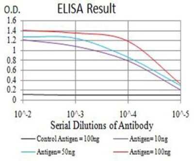 ELISA: PRKAG3 Antibody (2C7A7) - BSA Free [NBP2-61796]