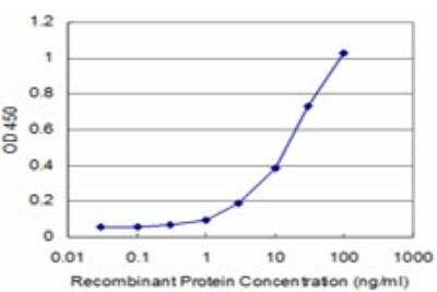 ELISA: PRKRIP1 Antibody (4D11-3F11) [H00079706-M05]
