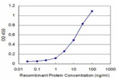 ELISA: PRKRIP1 Antibody (M1) [H00079706-M07]