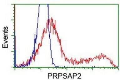 Flow Cytometry: PRPSAP2 Antibody (OTI1E3) - Azide and BSA Free [NBP2-73676]