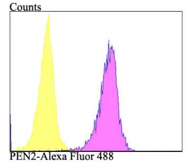 Flow Cytometry: PSENEN/PEN2 Antibody (JE41-28) [NBP2-75632]