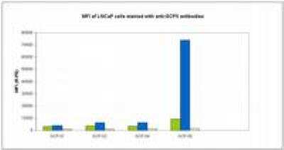 Flow Cytometry: PSMA/FOLH1/NAALADase I Antibody (GCP-05) - BSA Free [NBP1-45058]