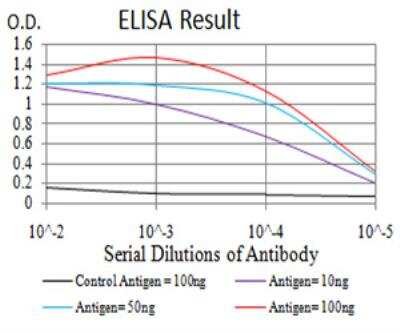 ELISA: PSMC3 Antibody (1G10B7) - BSA Free [NBP2-61802]