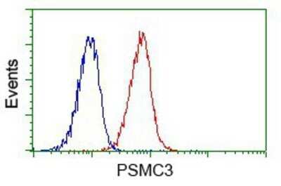 Flow Cytometry: PSMC3 Antibody (OTI9F3) - Azide and BSA Free [NBP2-73696]