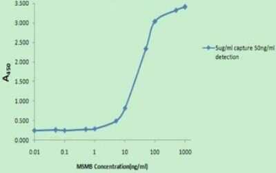 ELISA: PSP94/MSMB Antibody (OTI3D5) - Azide and BSA Free [NBP2-73625]