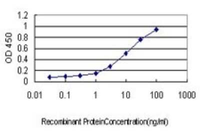 ELISA: PTGIR Antibody (4B10) [H00005739-M01]