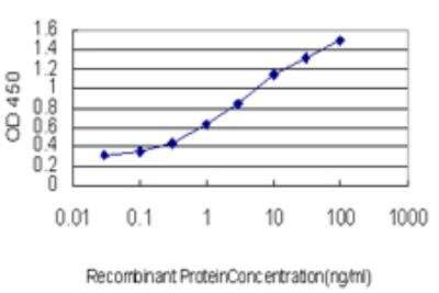 ELISA: PTK9 Antibody (1D12) [H00005756-M05]