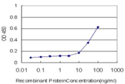 ELISA: PTP epsilon Antibody (2D10) [H00005791-M04]