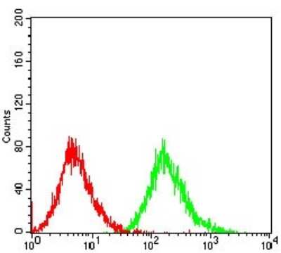 Flow Cytometry: PTP1B/PTPN1 Antibody (4F8F11) - BSA Free [NBP2-52543]