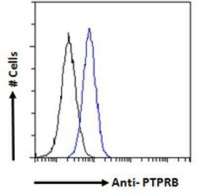 Flow Cytometry: PTPRB Antibody [NBP2-88829]
