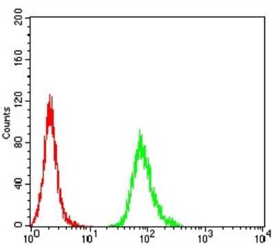 ELISA: PXR/NR1I2 Antibody (1D12G1) - BSA Free [NBP2-61816]