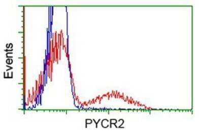 Flow Cytometry: PYCR2 Antibody (OTI3D1) - Azide and BSA Free [NBP2-73743]