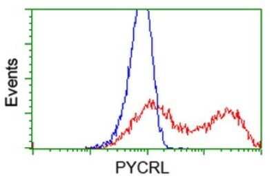 Flow Cytometry: PYCRL Antibody (OTI1B12) - Azide and BSA Free [NBP2-73752]
