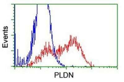 Flow Cytometry: Pallidin Antibody (OTI1H9) - Azide and BSA Free [NBP2-73233]