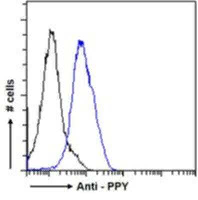 Flow Cytometry: Pancreatic Polypeptide/PP Antibody [NB100-1793]
