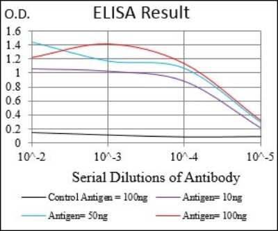 ELISA: Papilin Antibody (5B2E5) - BSA Free [NBP2-37320]