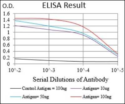 ELISA: Papilin Antibody (5F2D10) - BSA Free [NBP2-37321]