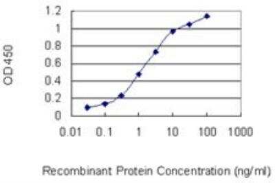 ELISA: Pax2 Antibody (3C7) [H00005076-M01]