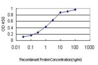 ELISA: Pax5/BSAP Antibody (8F9) [H00005079-M01]