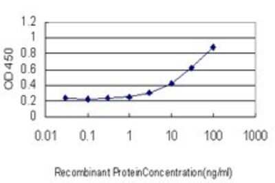 ELISA: Pax7 Antibody (1E12) [H00005081-M05]