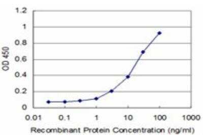 ELISA: Pbx3 Antibody (1A11) [H00005090-M02]