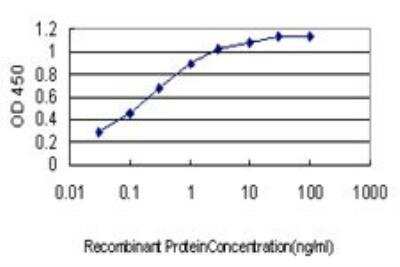 ELISA: Pbx3 Antibody (1A9) [H00005090-M01]