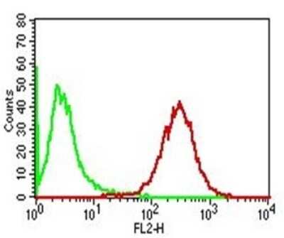 Flow Cytometry: Perilipin-2/ADFP Antibody (ADFP/1365) [NBP2-53401]